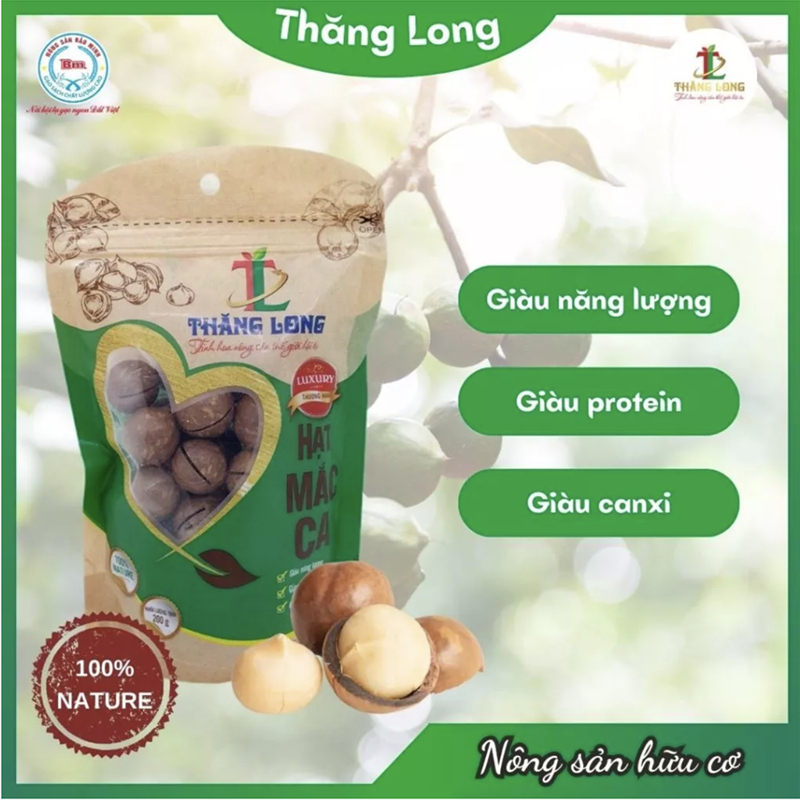 Hạt mắc ca 200g - Combo 2 túi (miễn ship) tặng Quả óc chó 150g